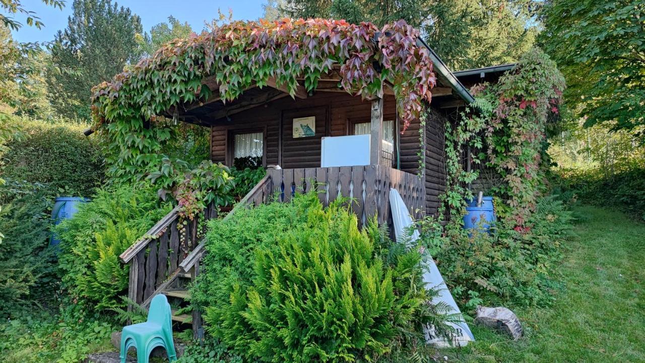Cafe Pension Sonnenkanzel Staatsbad Bruckenau Ngoại thất bức ảnh